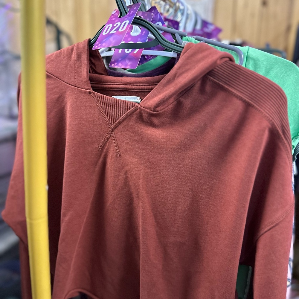 Sz XS Aerie cropped aerie hoodie